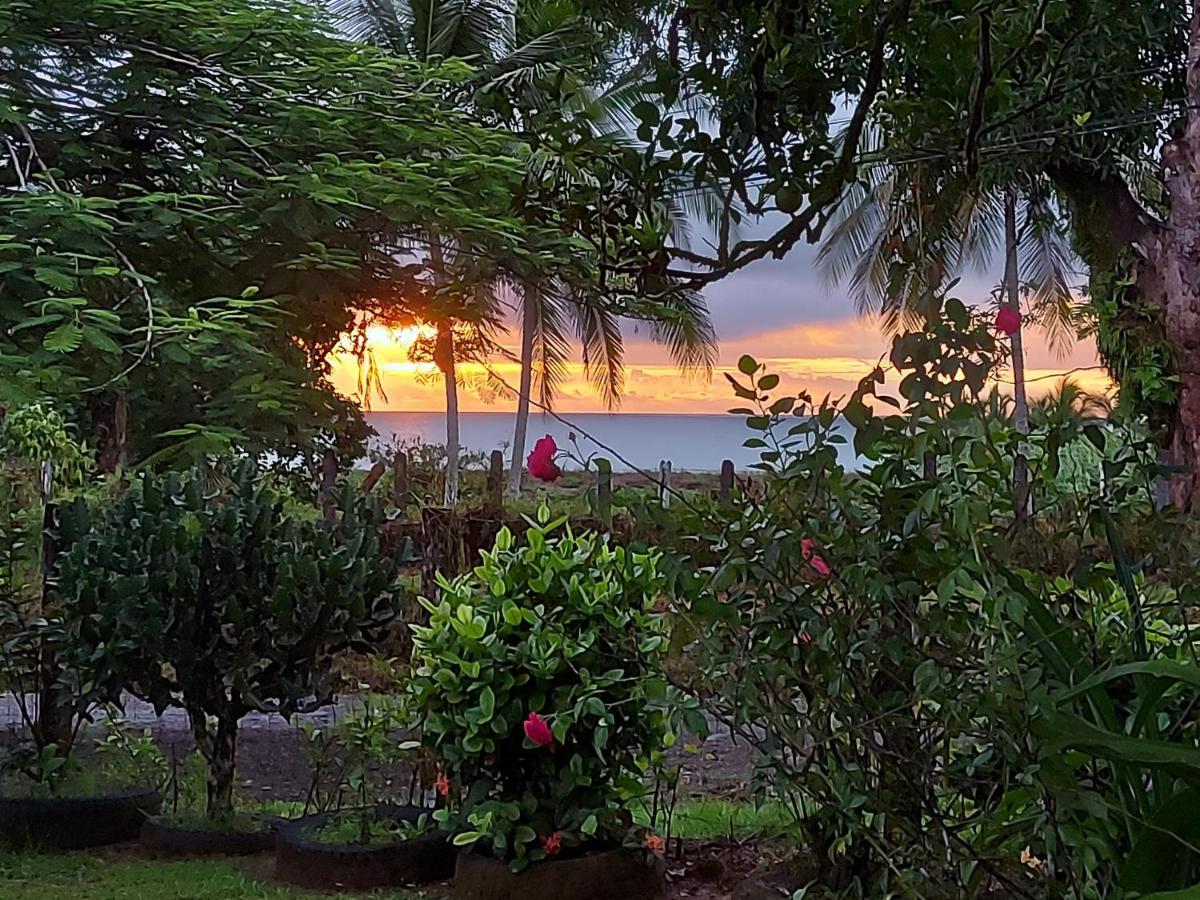Hotel Gitana Corcovado, Y Tour Operador Drakes Bay Dış mekan fotoğraf