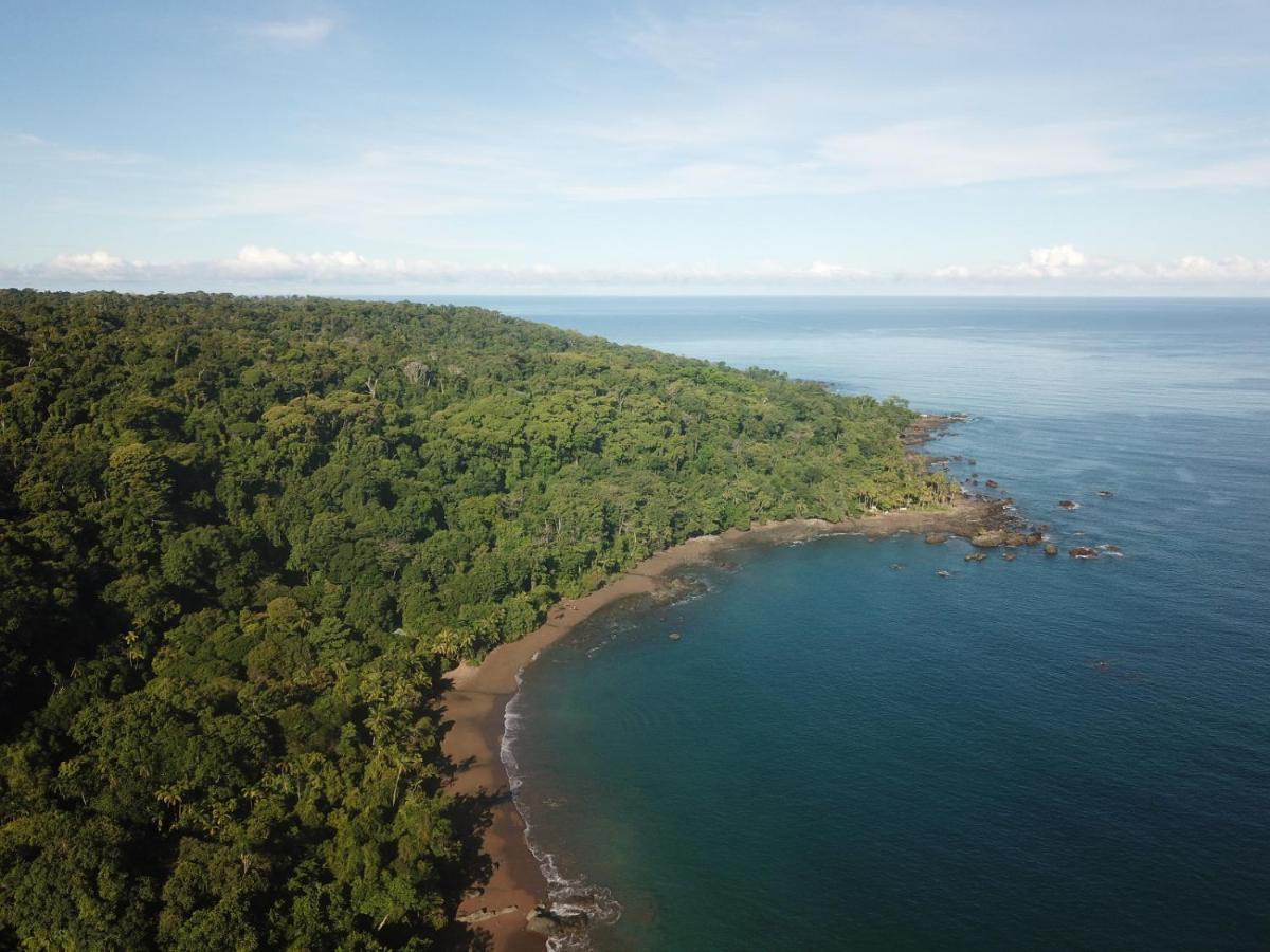 Hotel Gitana Corcovado, Y Tour Operador Drakes Bay Dış mekan fotoğraf