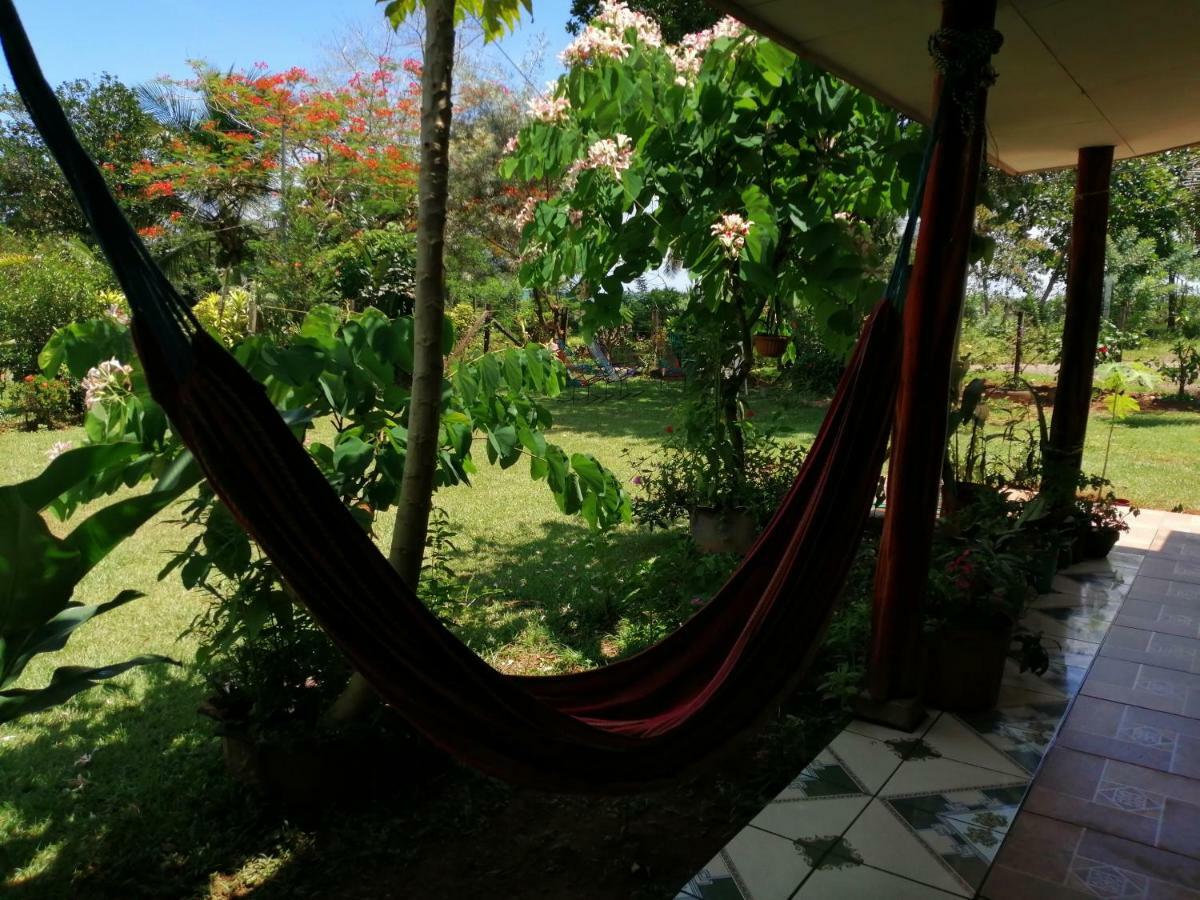 Hotel Gitana Corcovado, Y Tour Operador Drakes Bay Dış mekan fotoğraf